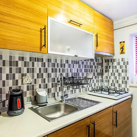 Stylish And Cozy In Beyoglu Provincia di Istanbul